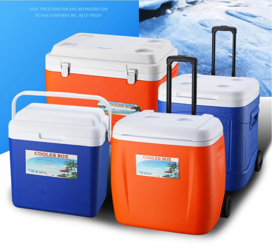 Car Refrigerator Outdoor Small Incubator Portable Car Home Medicine Cosmetics Storage