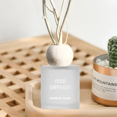 Eccezionale lusso Home decorazione aromaterapia olio essenziale profumo vetro profumato profumato profumato Diffusore a bottiglia