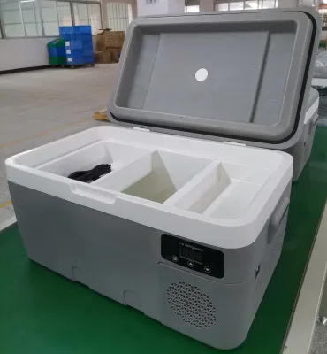 Contenitore in plastica da 35 l compressore portatile da 12 V per auto dall&prime;aspetto piacevole