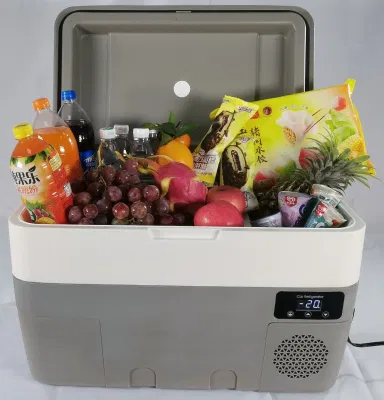 Contenitore in plastica da 35 l compressore portatile da 12 V per auto dall&prime;aspetto piacevole