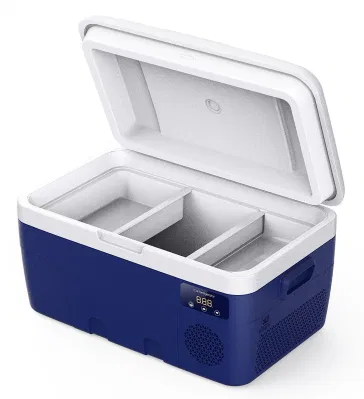 Contenitore in plastica da 35 l compressore portatile da 12 V per auto dall&prime;aspetto piacevole