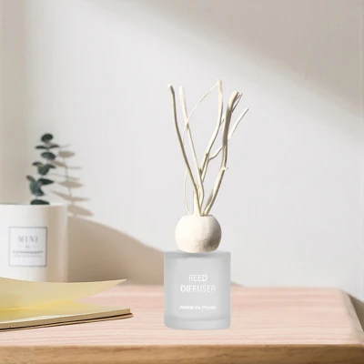 Eccezionale lusso Home decorazione aromaterapia olio essenziale profumo vetro profumato profumato profumato Diffusore a bottiglia