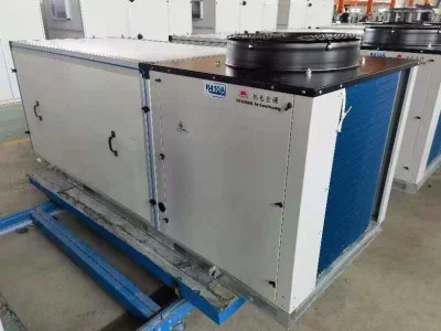 Unità di climatizzazione combinata a espansione diretta per il trattamento dell&prime;aria tipo DX Climatizzatore dell&prime;unità di trattamento aria a espansione diretta del sistema HVAC Del sistema HVAC