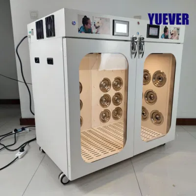 Dog Grooming Salon PET dryer grande macchina automatica di essiccazione professionale Camera per il cura del corpo del gatto con il gatto con la scatola dell&prime;asciugacapelli Smart Dog Cat