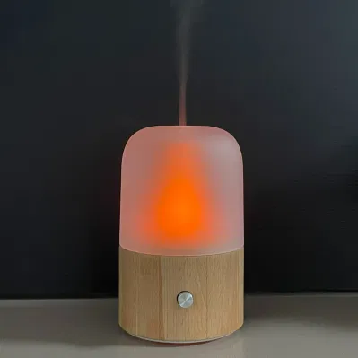 120ml Commercio all&prime;ingrosso vetro lampada Faggio legno massiccio Aroma diffusore Essential Diffusore olio