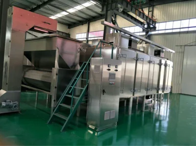 Macchina per essiccazione in acciaio inox Smart Roaster Ovean disidratatore di alta qualità Essiccatore