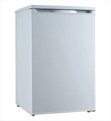 Frigorifero portatile Congelatore per campeggio compressore DC Congelatore frigorifero grande Capacità del refrigeratore per auto
