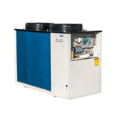 Unità di climatizzazione combinata a espansione diretta per il trattamento dell&prime;aria tipo DX Climatizzatore dell&prime;unità di trattamento aria a espansione diretta del sistema HVAC Del sistema HVAC