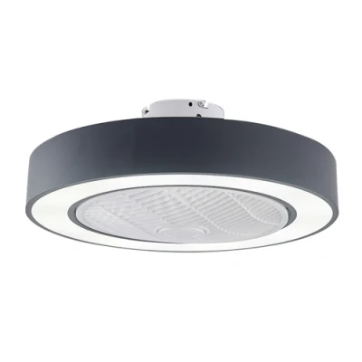 Lampada da soffitto Macaron con telecomando intelligente AC Motor Restaurant Ventilatore da soffitto con luce (WH-VLL-18)