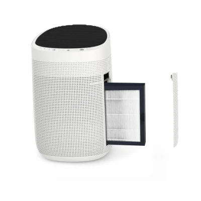 Amazon Best seller commerciale Intelligent Home Mini Electric Quiet Air Pulire il deumidificatore con HEPA 11