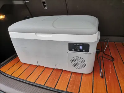 Contenitore in plastica da 35 l compressore portatile da 12 V per auto dall&prime;aspetto piacevole
