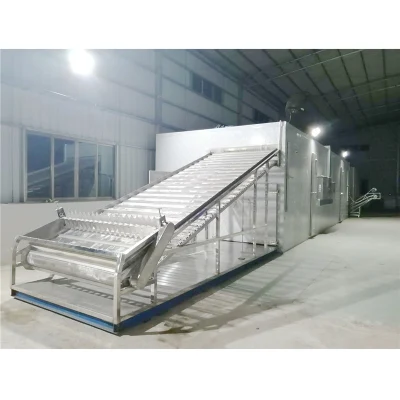 Frutta verdura Apricot Deumidificazione disidratatore macchinari aria Fonte pompa di calore Asciugatore a nastro multistrato