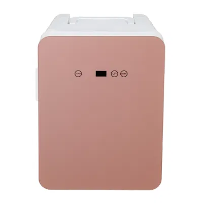 12/24/110/240V popolare Goodlook portatile ragazza Donne cosmetica bellezza Makeup frigorifero