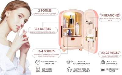 Frigorifero cosmetico portatile AC/DC da 12 l per trucco Skincare