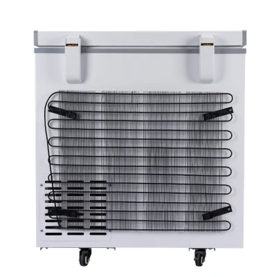 Spessore 110mm isolamento schiuma Congelatore Solar Congelatore frigorifero