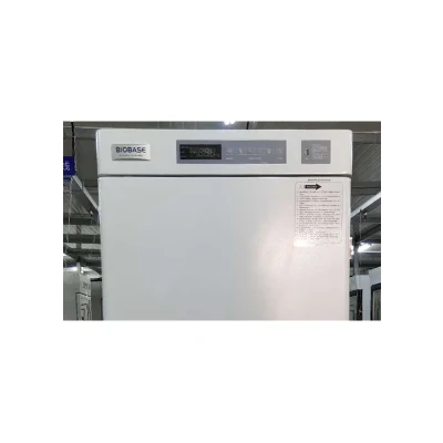 Congelatore verticale a bassa temperatura Biobase -25 gradi 268L