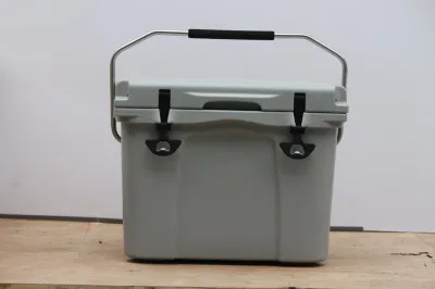 Contenitore più freddo isolato di ghiacciaia della birra della spiaggia