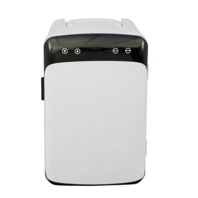 12/24/110/240V popolare Goodlook portatile ragazza Donne cosmetica bellezza Makeup frigorifero