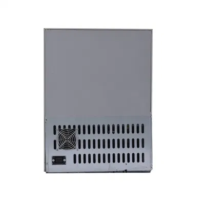 Frigorifero solare 2.47 Cu. Frigoriferi estetici DA torace FT 70L 12 V/24 V CC