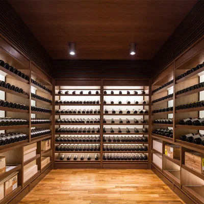 Moderno e lussuoso armadio per vino in acciaio inox personalizzato e a temperatura costante Cantina di vino rosso e whisky