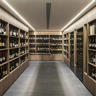 Moderno e lussuoso armadio per vino in acciaio inox personalizzato e a temperatura costante Cantina di vino rosso e whisky