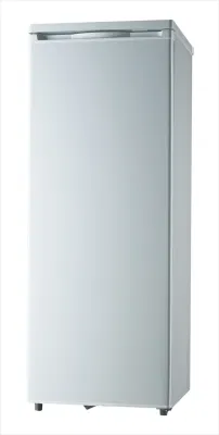 Frigorifero portatile Congelatore per campeggio compressore DC Congelatore frigorifero grande Capacità del refrigeratore per auto