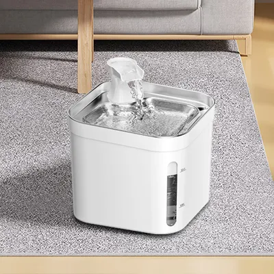 Erogatore automatico di acqua per animali domestici con filtri di ricambio Fontana per acqua senza BPA Per gatti