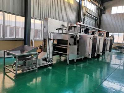 Macchina per essiccazione in acciaio inox Smart Roaster Ovean disidratatore di alta qualità Essiccatore