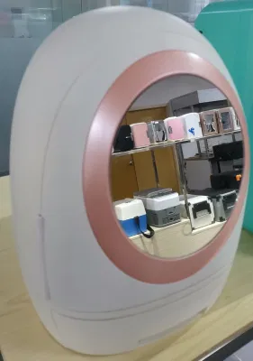 Professoinal Produttore 12/24V DC portatile Mini frigorifero Semiconductor frigorifero cosmetico
