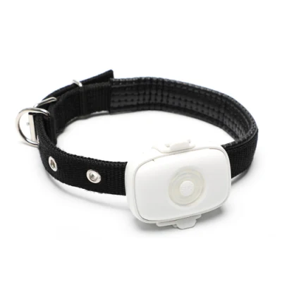Luminous PET Seeking Voice Two-Way Call 4G GPS Locator Tracker
