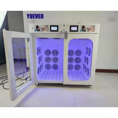 Dog Grooming Salon PET dryer grande macchina automatica di essiccazione professionale Camera per il cura del corpo del gatto con il gatto con la scatola dell&prime;asciugacapelli Smart Dog Cat