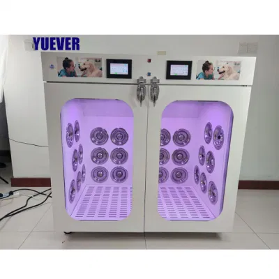 Dog Grooming Salon PET dryer grande macchina automatica di essiccazione professionale Camera per il cura del corpo del gatto con il gatto con la scatola dell&prime;asciugacapelli Smart Dog Cat