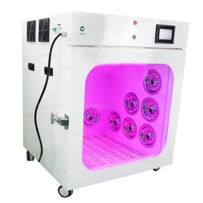 Dog Cat asciugacapelli macchina per la cura dei capelli soffiante automatica PET asciugatore Box
