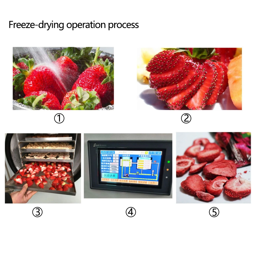 Home Food Freeze Drying Machine Vacuum Freeze Dryer Machine