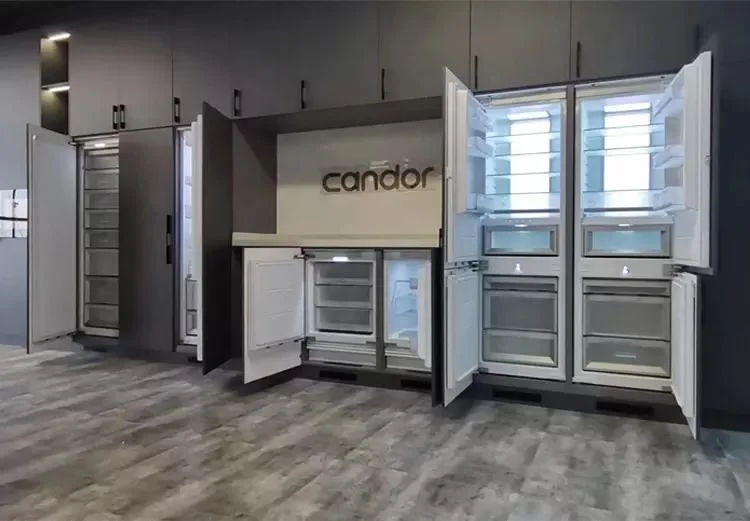 Whole Kitchen Decoration Compact Built in Refrigerator Luxury Built-in Fridge Freezer Combination