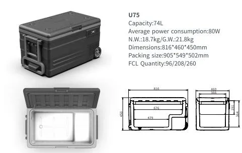 Factory All Size 12V Car Fridge Freezer Car Fridge Portable Fridge Mini Fridge for Car