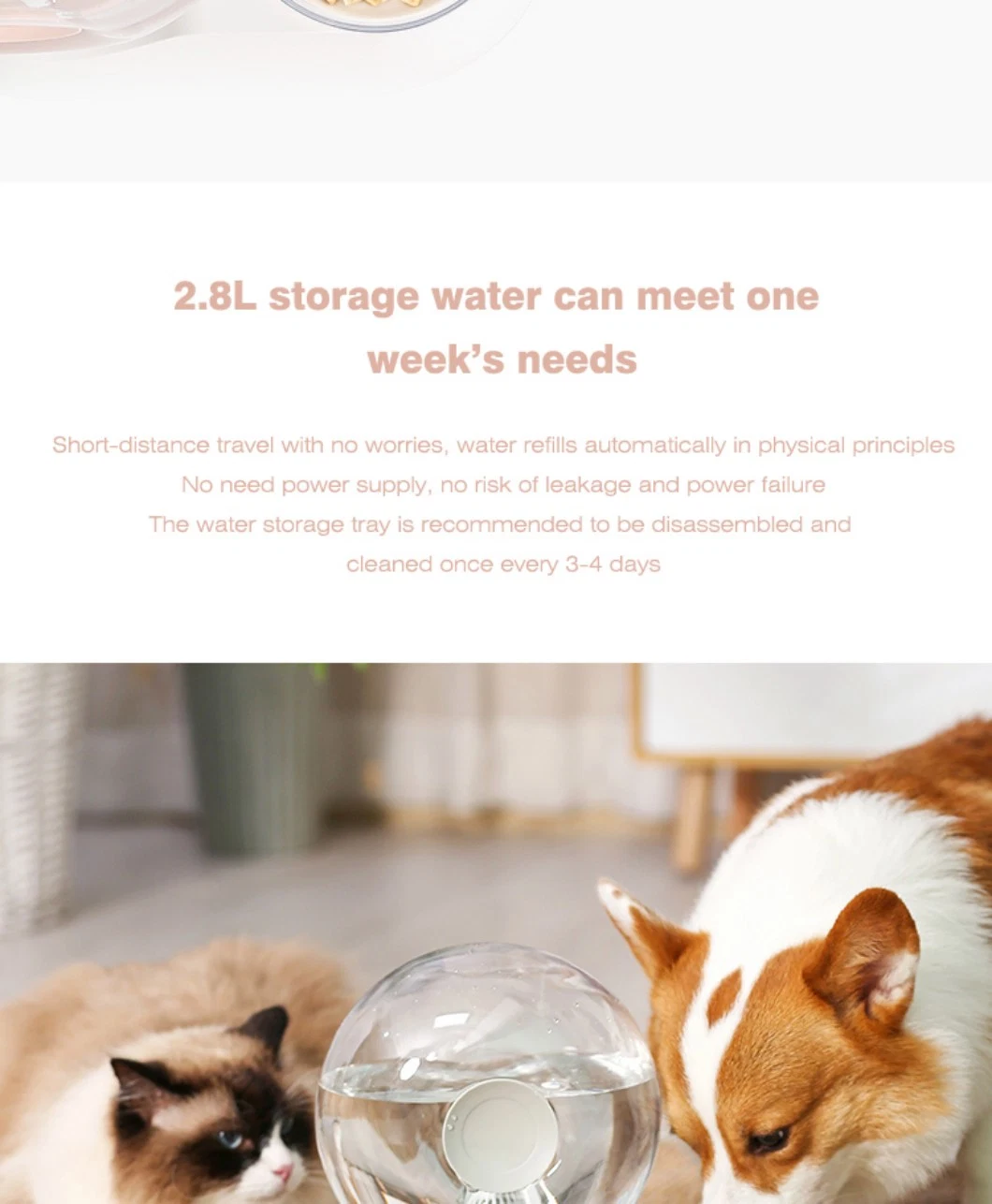 2.8L Capacity All-in-One Pet Food and Water Dispenser