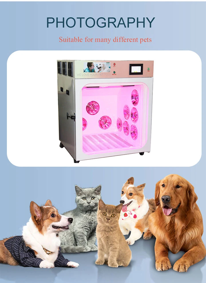 Hot Selling Dog Hair Dryer Automatic Dog Grooming Pet Dryer Box