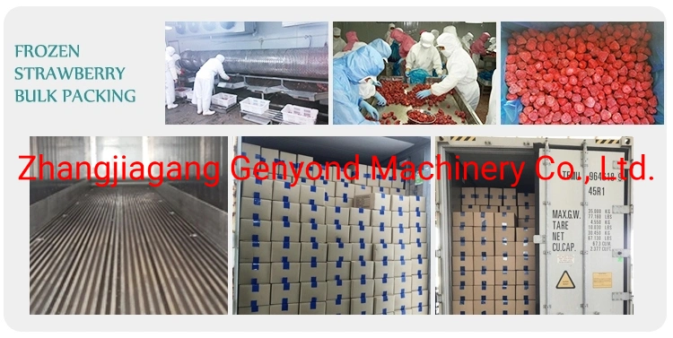 Factory Small Fruit &amp; Vegetable Medicine Pharmaceutical Vacuum Lyophilizer Freeze Drying Equipment Machine Dryer