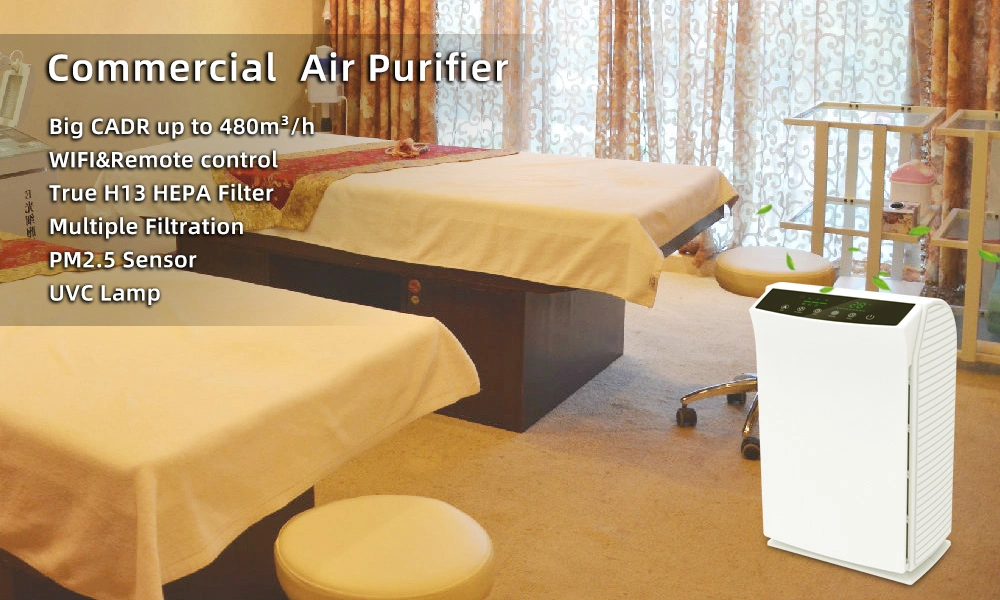 High Performance Tuya WiFi Medical Best Home Smart Air with Pm2.5 Purifier