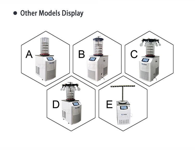 CE Proved Freeze Dried Food Vacuum Lyophilizer Price Fruit Mini Vegetable Home Freeze Drying Machine Freeze Dryer