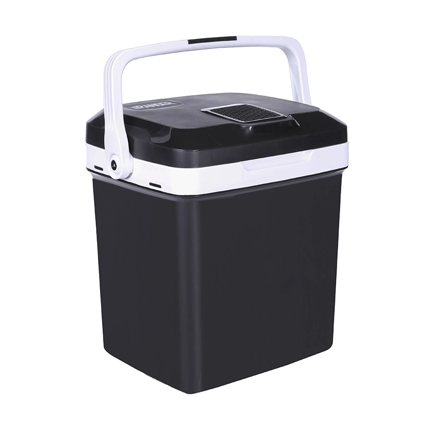 Black Portable Cooler Warmer Mini Fridge for Bedroom, Office, Dorm, Car - Great for Skincare &amp; Cosmetics (110-240V/12V)