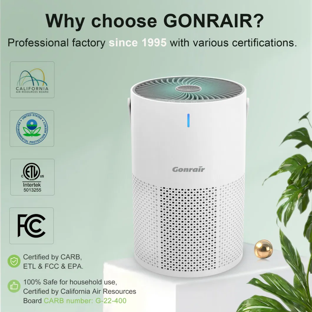 High Efficiency Portable Desktop Quiet Air Purifier H13 HEPA Inoizer Air Purifier for Office Home Hotel Usage Odor Smoke Dust Pets Eliminator
