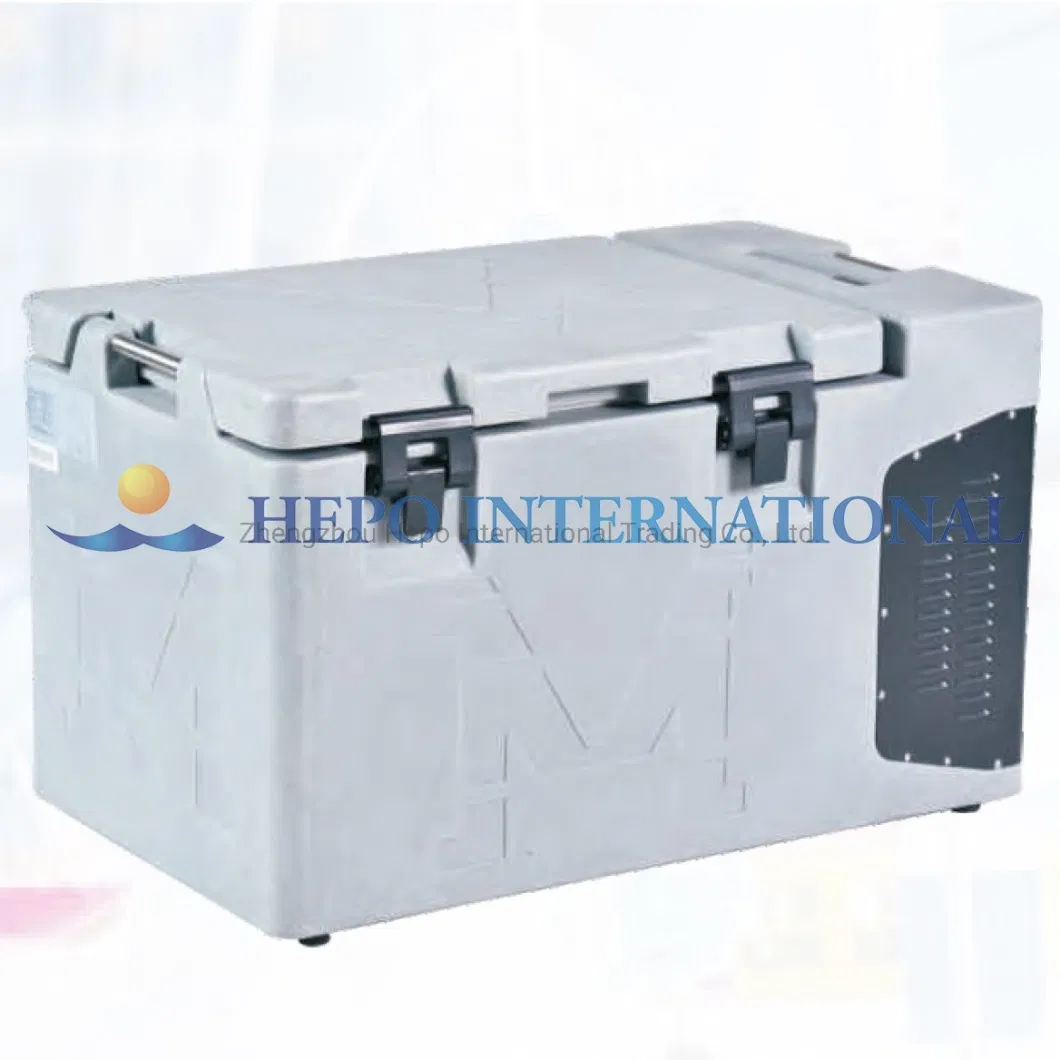 China Popular Medical DC Motor Compressor Car Cooler Box