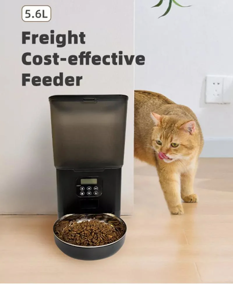 5.6L Pet 4 Meals Feeder Transparent Removable Smart WiFi Automatic Pet Food Dispenser