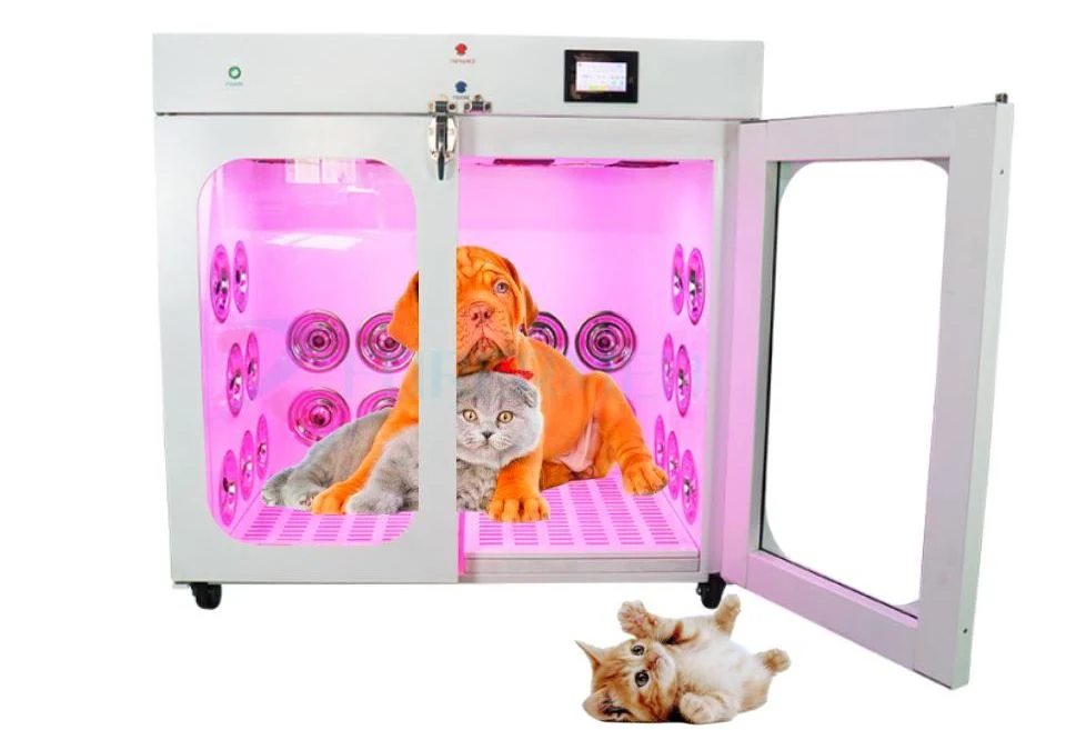 Medical Automatic Pet Dry Room Professional Constant Temperature Nature Wind Smart Pet Dryer Box