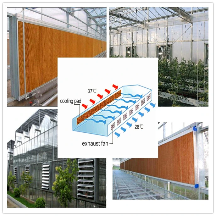 Intelligent Greenhouse Automatic Temperature Control Cooling System Exhaust Fan