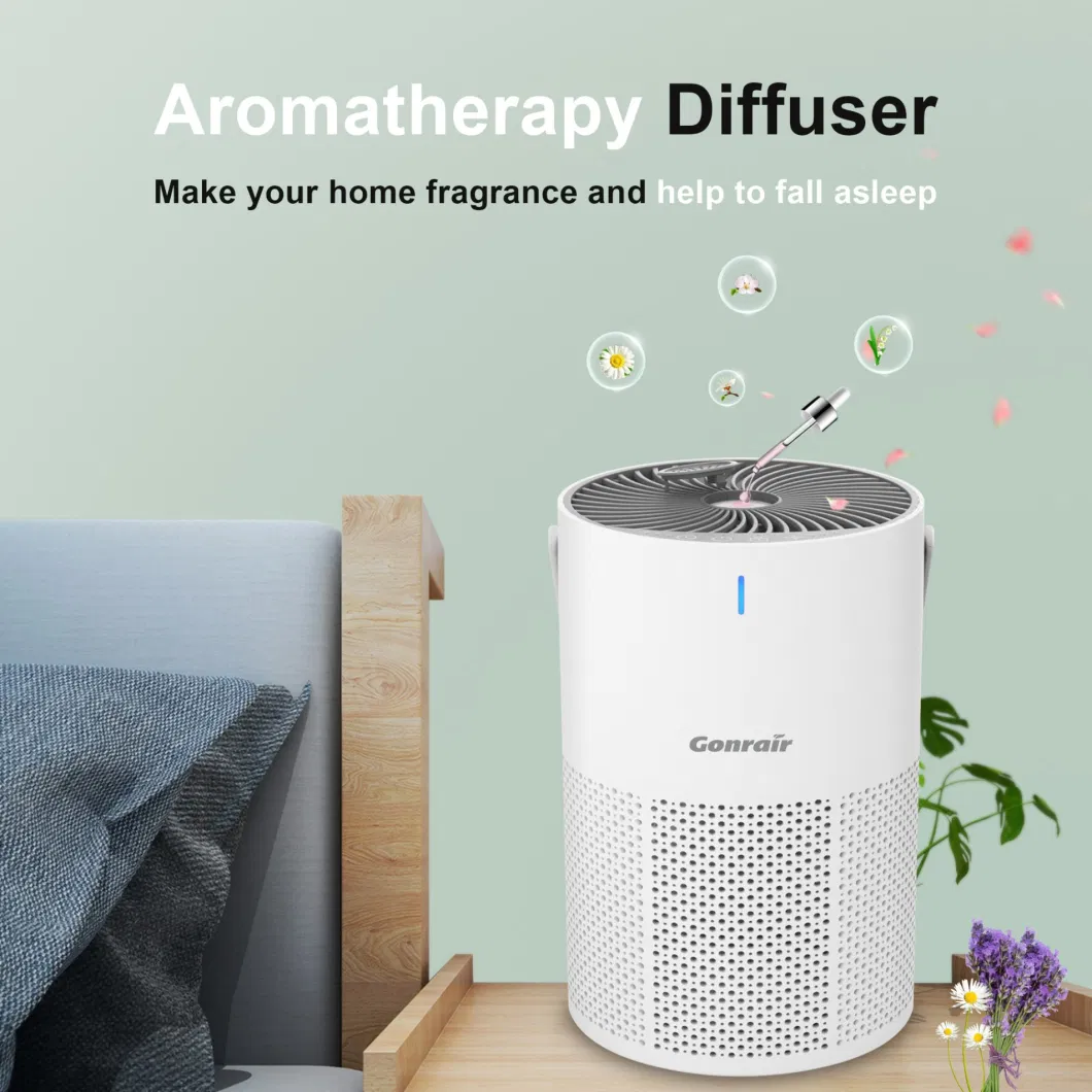 High Efficiency Portable Desktop Quiet Air Purifier H13 HEPA Inoizer Air Purifier for Office Home Hotel Usage Odor Smoke Dust Pets Eliminator