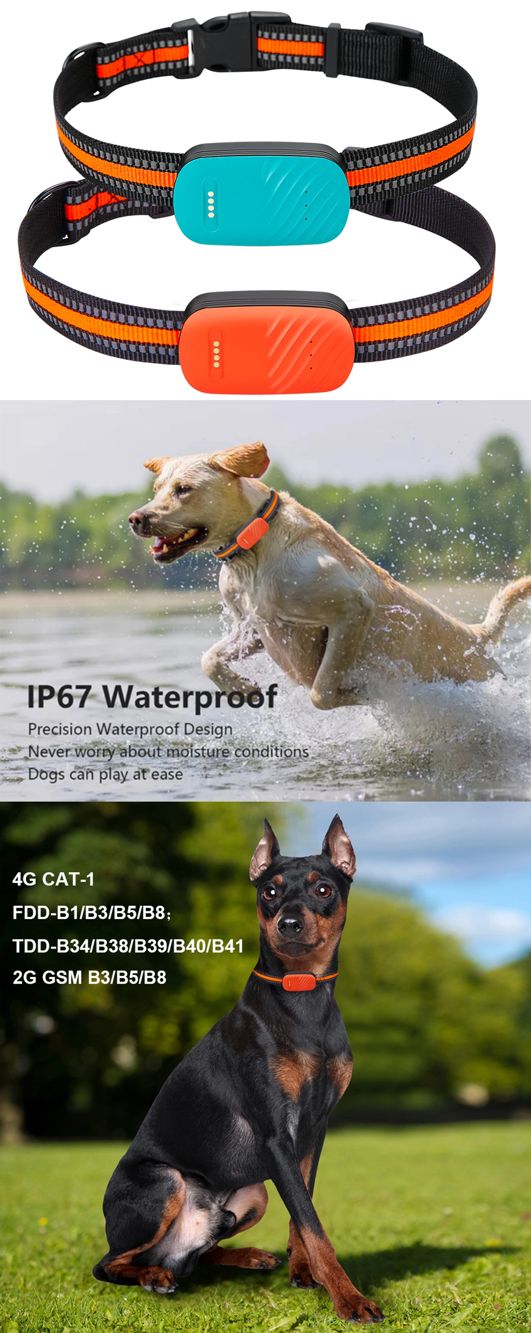 Latest waterproof 4G pet GPS tracker with free collar and mobile APP for dog cat animal real time tracking Y33