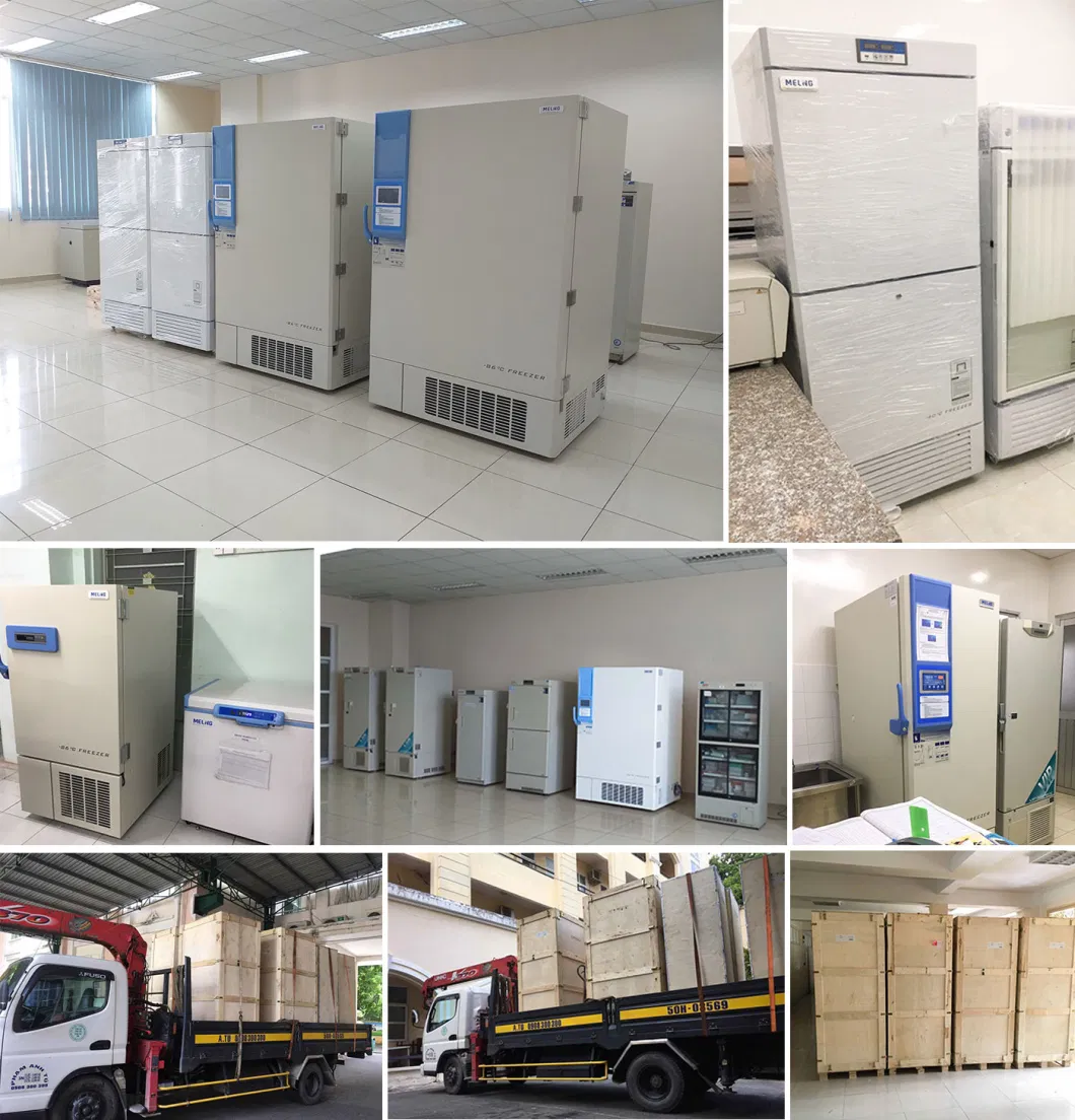 Meling 2~8c 315L Upright Air Cooling Pharmacy Biomedical Laboratory Medical Refrigerator Vaccine Storage for Hospital